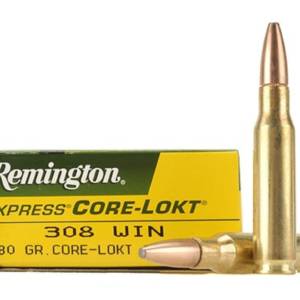 remington_core_lokt_ PSP 308win_180grains